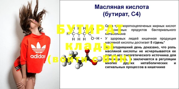 крисы Бородино