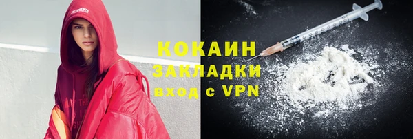 крисы Бородино