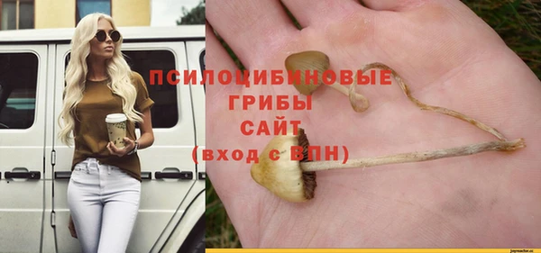 тгк Бронницы