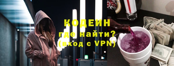 крисы Бородино