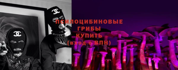 тгк Бронницы