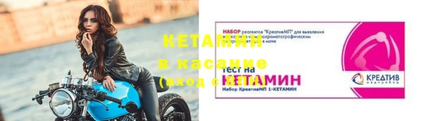 крисы Бородино