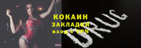 крисы Бородино