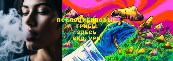крисы Бородино