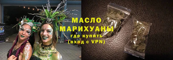 крисы Бородино