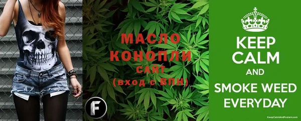 крисы Бородино