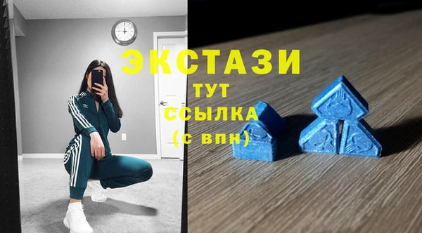 крисы Бородино