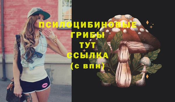 тгк Бронницы