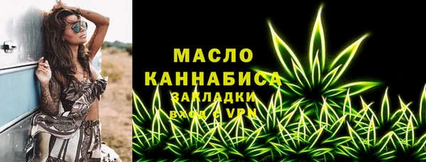 крисы Бородино