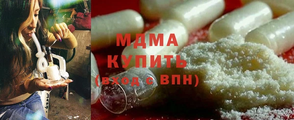 крисы Бородино