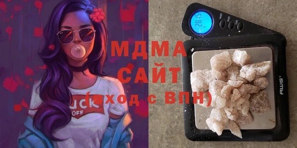 крисы Бородино