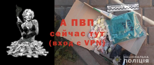 крисы Бородино